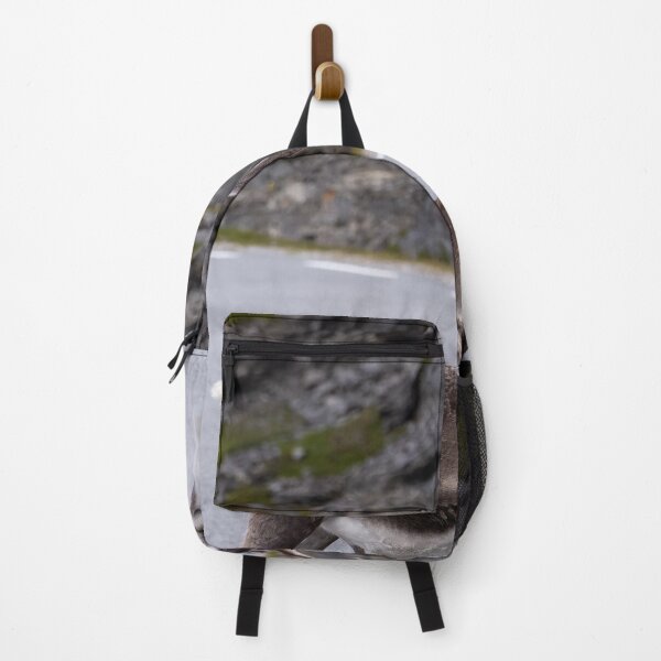 Item preview, Wonderful landscapes in Norway. Nord-Norge. Beautiful reindeer watching me going to Nordkapp (vertical) designed and sold by Maurizio Fabbroni.
