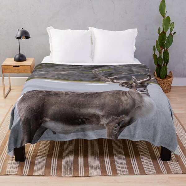 Item preview, Wonderful landscapes in Norway. Nord-Norge. Beautiful reindeer watching me going to Nordkapp (vertical) designed and sold by Maurizio Fabbroni.