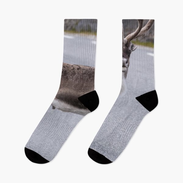 Item preview, Wonderful landscapes in Norway. Nord-Norge. Beautiful reindeer watching me going to Nordkapp (vertical) designed and sold by Maurizio Fabbroni.
