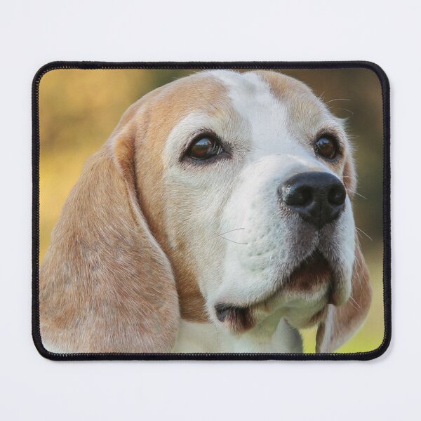 Item preview, Cute Beagle Dog Face designed and sold by DesignVertex.
