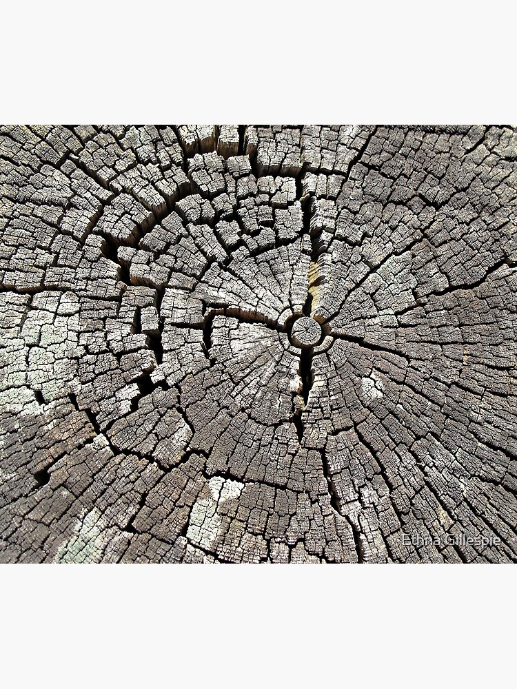 Stumped by ethna
