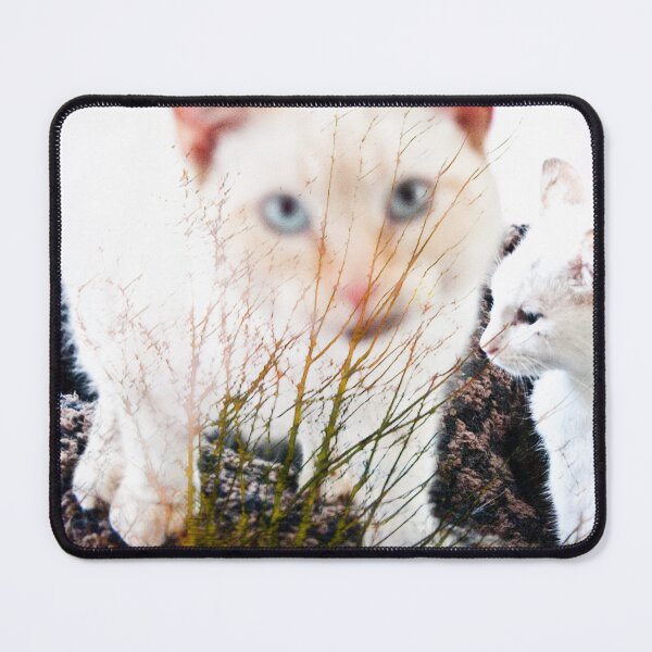 Item preview, Three blue eyes designed and sold by Gabriele Maurus.