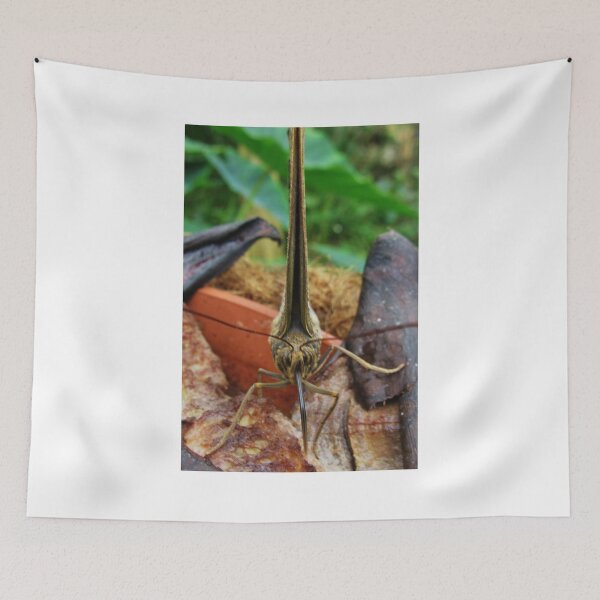 Item preview, Butterfly Feeding (2) designed and sold by lezvee.
