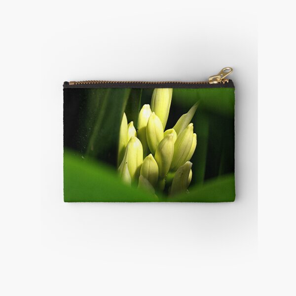 Item preview, Clivia.......about to burst into bloom.......!! designed and sold by Roy  Massicks.