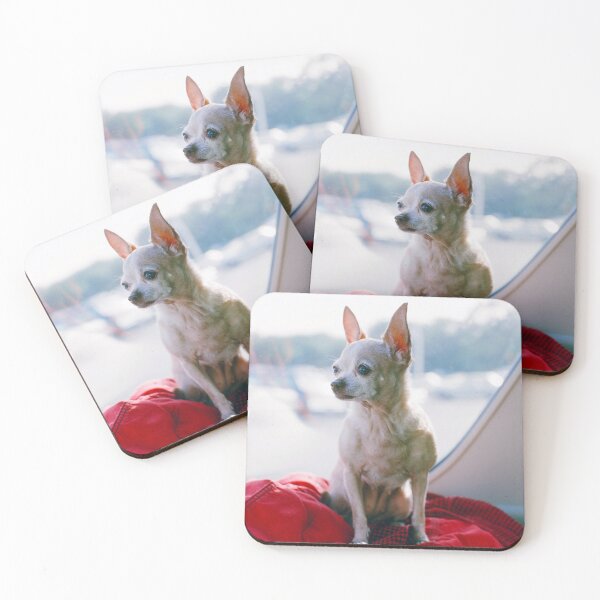 Item preview, 1970s - Chihuahua Sitting at the Back of a Car designed and sold by thatwaslife.