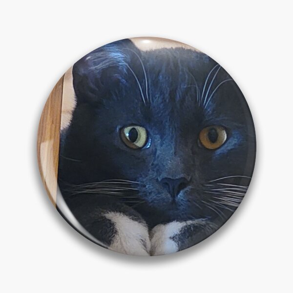 Item preview, Curious Silver Tuxedo Cat designed and sold by Rebecca Jane.