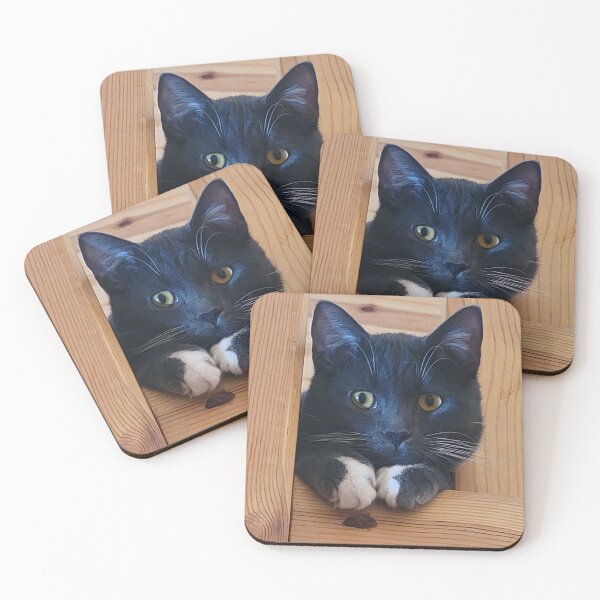 Item preview, Curious Silver Tuxedo Cat designed and sold by Rebecca Jane.