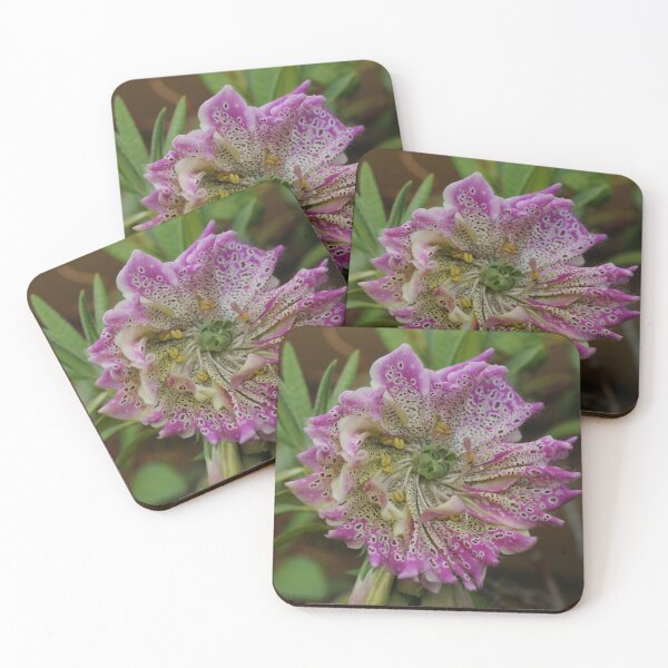 Item preview, Foxglove, Peloric Flower. designed and sold by Billlee.