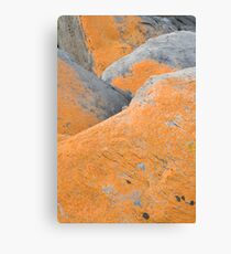 Layers Canvas Print