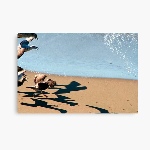 BIRDS!!!! Canvas Print