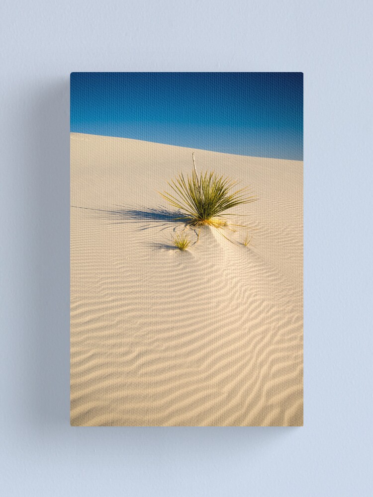 Alternate view of White Sands National Monument. Canvas Print