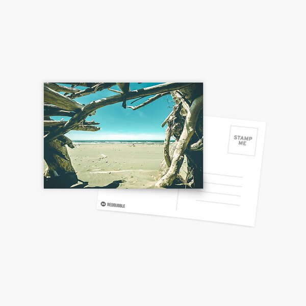 Beach Hut - Summer Time Blue Postcard