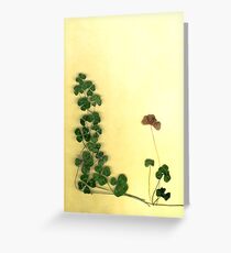 Golden Clover Dreams Greeting Card