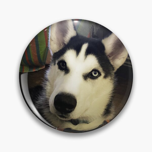 Item preview, Proud Siberian Husky designed and sold by Mercer1.