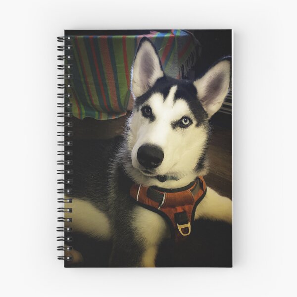 Item preview, Proud Siberian Husky designed and sold by Mercer1.