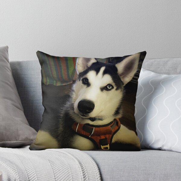 Item preview, Proud Siberian Husky designed and sold by Mercer1.