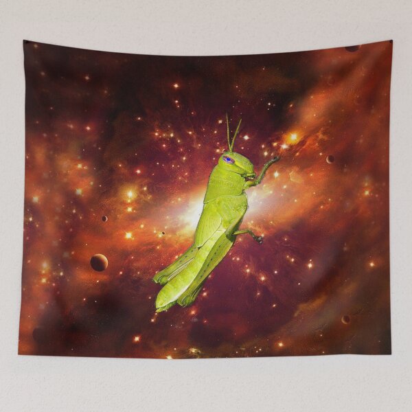 Item preview, Blue Eyed Hopper Floating Back to Planet Zorg designed and sold by heatherfriedman.