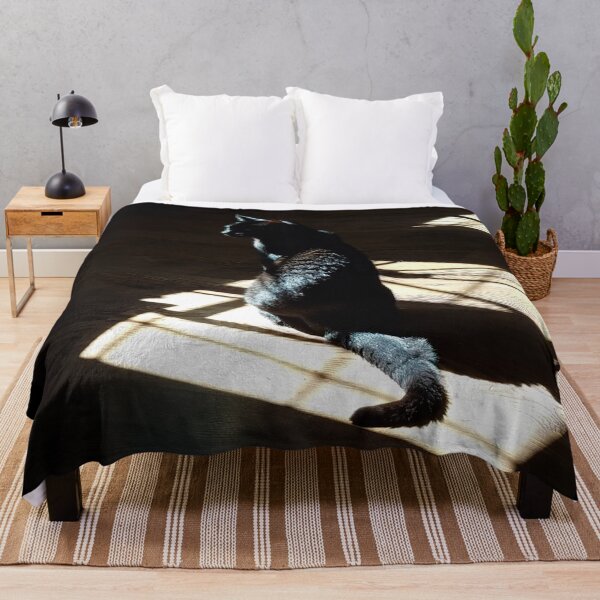 Item preview, Black Cat in Sunlight designed and sold by Rebecca Jane.
