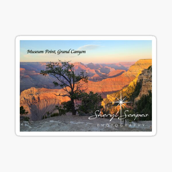 Museum Point, Grand Canyon - From SherylScapes.com, ccnow.info Sticker