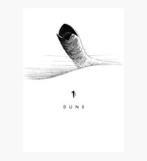 DUNE Photographic Print