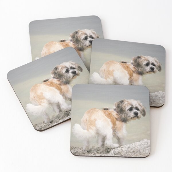 Item preview, MISSY - That water looks very deep ?!. designed and sold by Roy  Massicks.