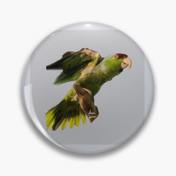 Item preview, Amazon parrot, Jesse designed and sold by Lina4969.