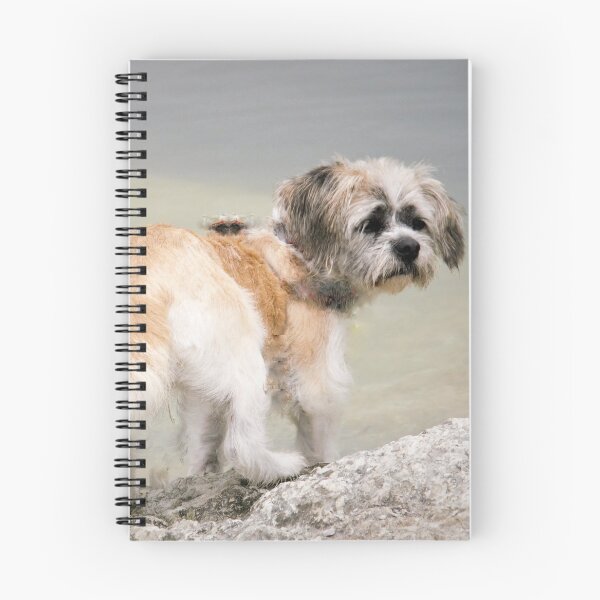Item preview, MISSY - That water looks very deep ?!. designed and sold by Roy  Massicks.