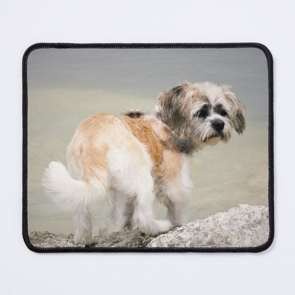 Item preview, MISSY - That water looks very deep ?!. designed and sold by Roy Massicks.