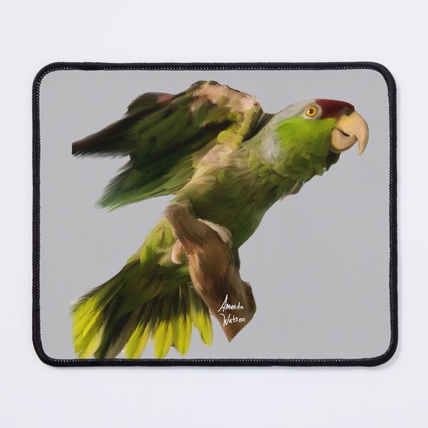 Item preview, Amazon parrot, Jesse designed and sold by Lina4969.