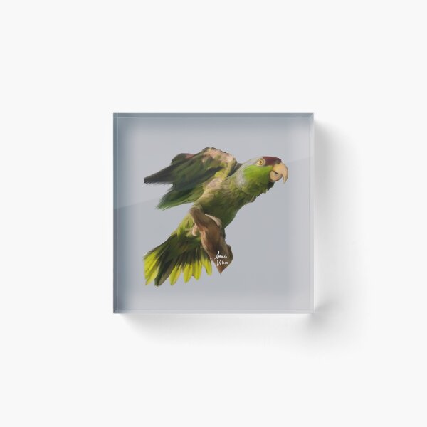 Item preview, Amazon parrot, Jesse designed and sold by Lina4969.