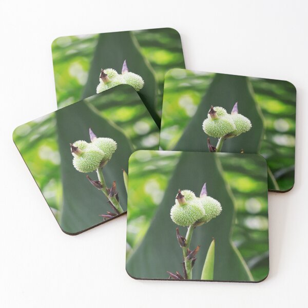 Item preview, Flower Bud designed and sold by likbatonboot.