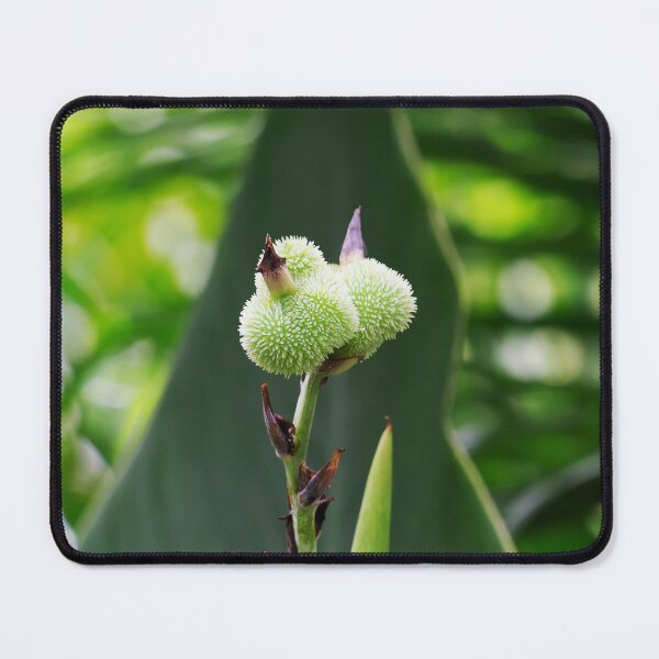 Item preview, Flower Bud designed and sold by likbatonboot.