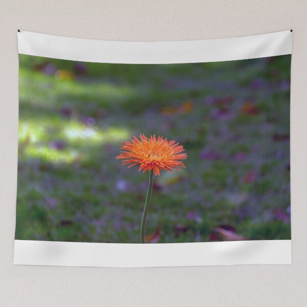 Item preview, African Daisy designed and sold by likbatonboot.