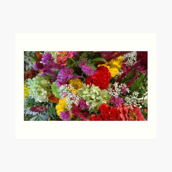 Floral Bouquet-Aster-Cock's Comb-Zinnia Art Print
