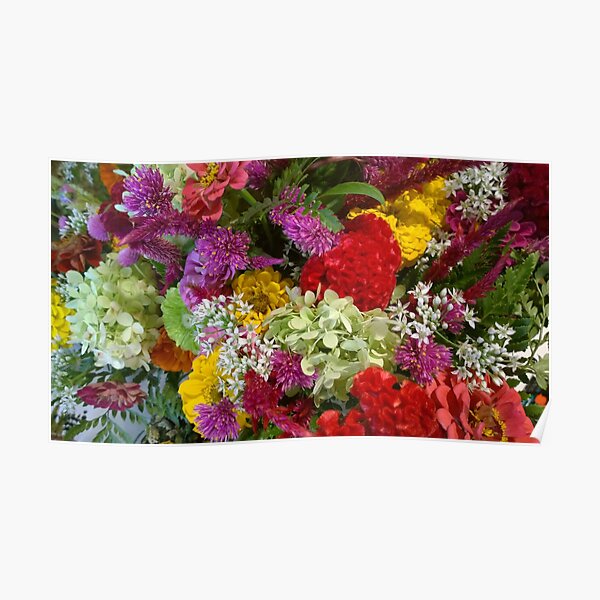 Floral Bouquet-Aster-Cock's Comb-Zinnia Poster