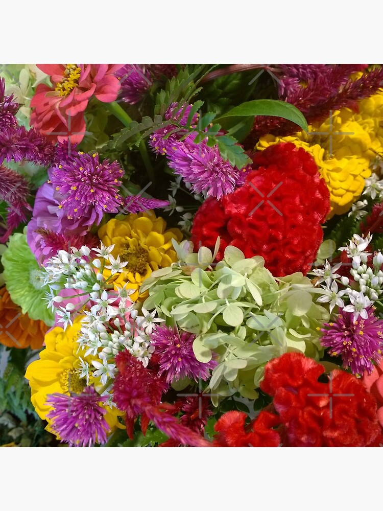 Floral Bouquet-Aster-Cock's Comb-Zinnia by Matlgirl