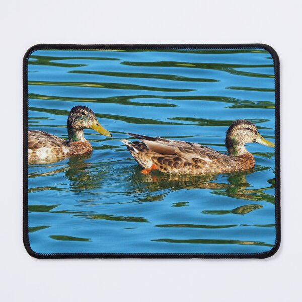 Item preview, Two Ducks Swimming In The Water designed and sold by BackyardBirder.