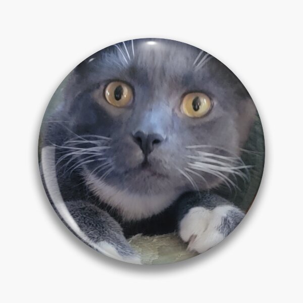 Item preview, Sweet Silver Tuxedo Cat designed and sold by Rebecca Jane.