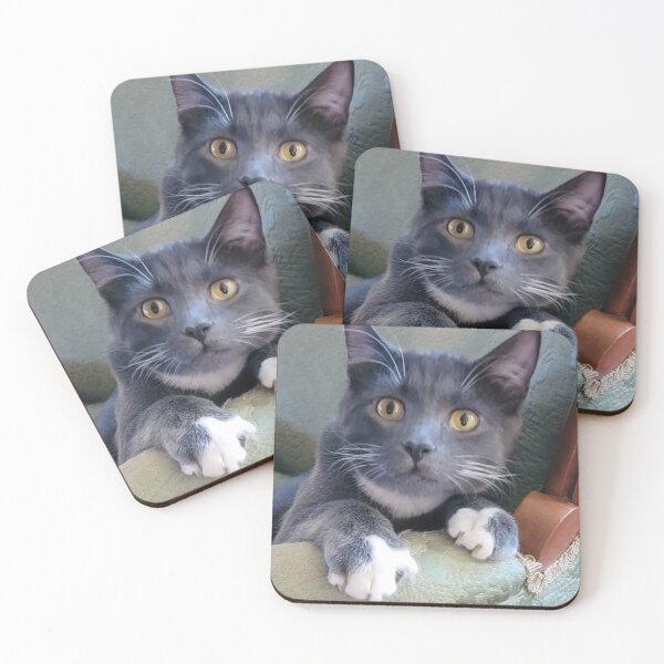 Item preview, Sweet Silver Tuxedo Cat designed and sold by Rebecca Jane.