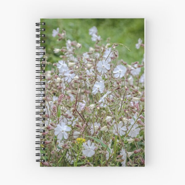 Item preview, Night-flowering Catchfly designed and sold by PhotosByHealy.