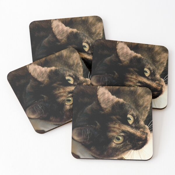 Item preview, Macro of Cat  designed and sold by TomikoKH19.
