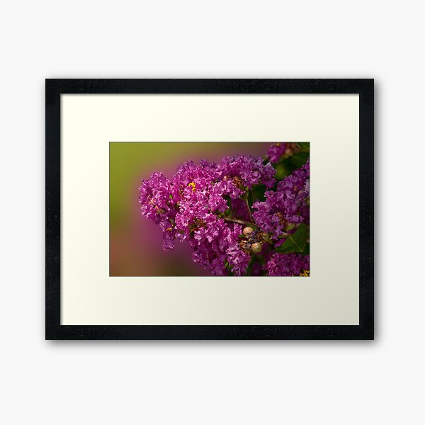 Item preview, Crepe Myrtle designed and sold by Bonnie T.  Barry.