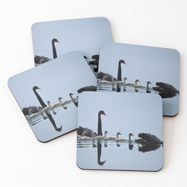 Item preview, Swans and cygnets on Lake Wendouree designed and sold by charlienelson.