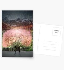 A year went by in a single day Postcards