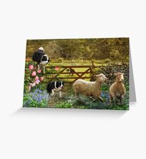 Collecting The Strays Greeting Card