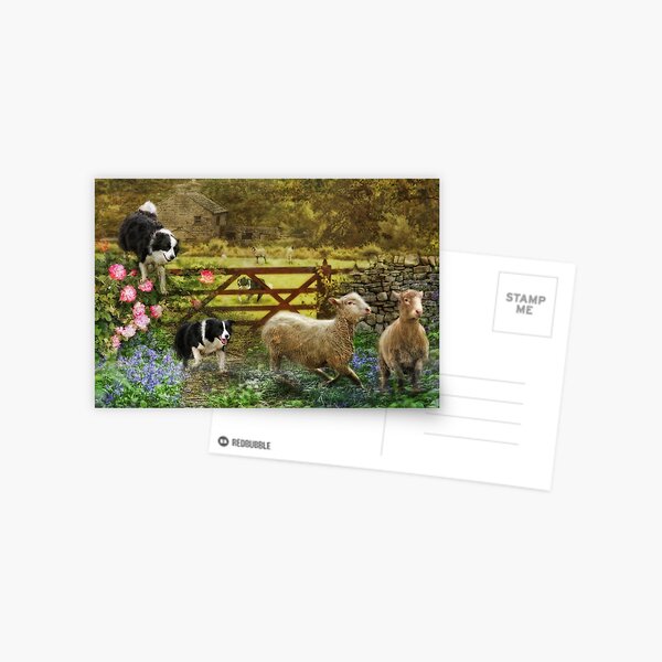 Collecting The Strays Postcard