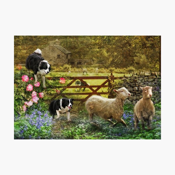Item preview, Collecting The Strays designed and sold by Trudi's Images.