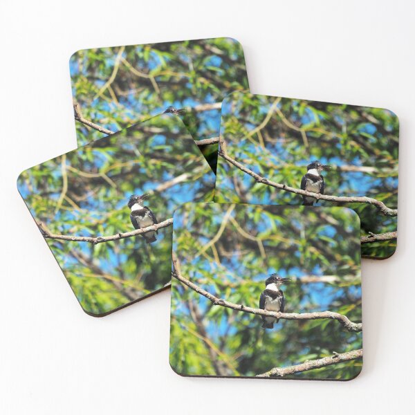Item preview, Belted Kingfisher Perched In A Tree designed and sold by BackyardBirder.