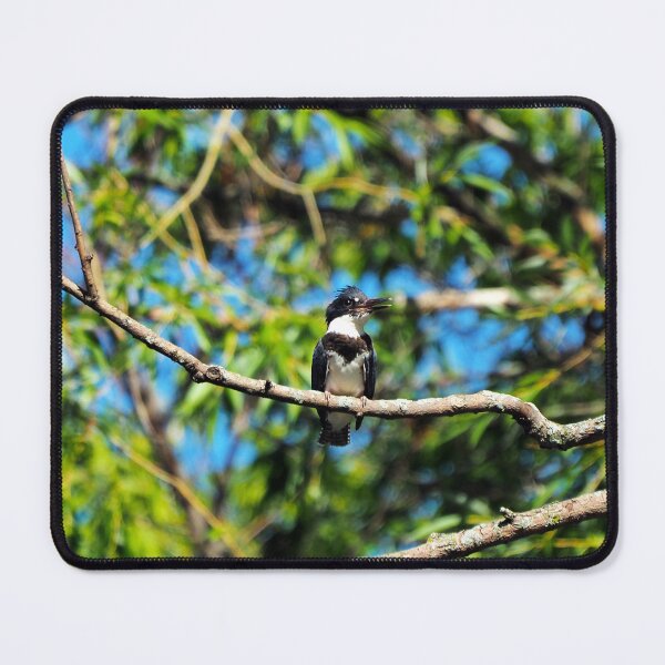 Item preview, Belted Kingfisher Perched In A Tree designed and sold by BackyardBirder.