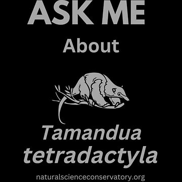 Flavvore Tamandua Pose | Sticker